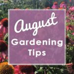 August-New-2019-Gardening-Tips-Square--web