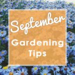 Sept.-Gardening-Tips-2019---small-square