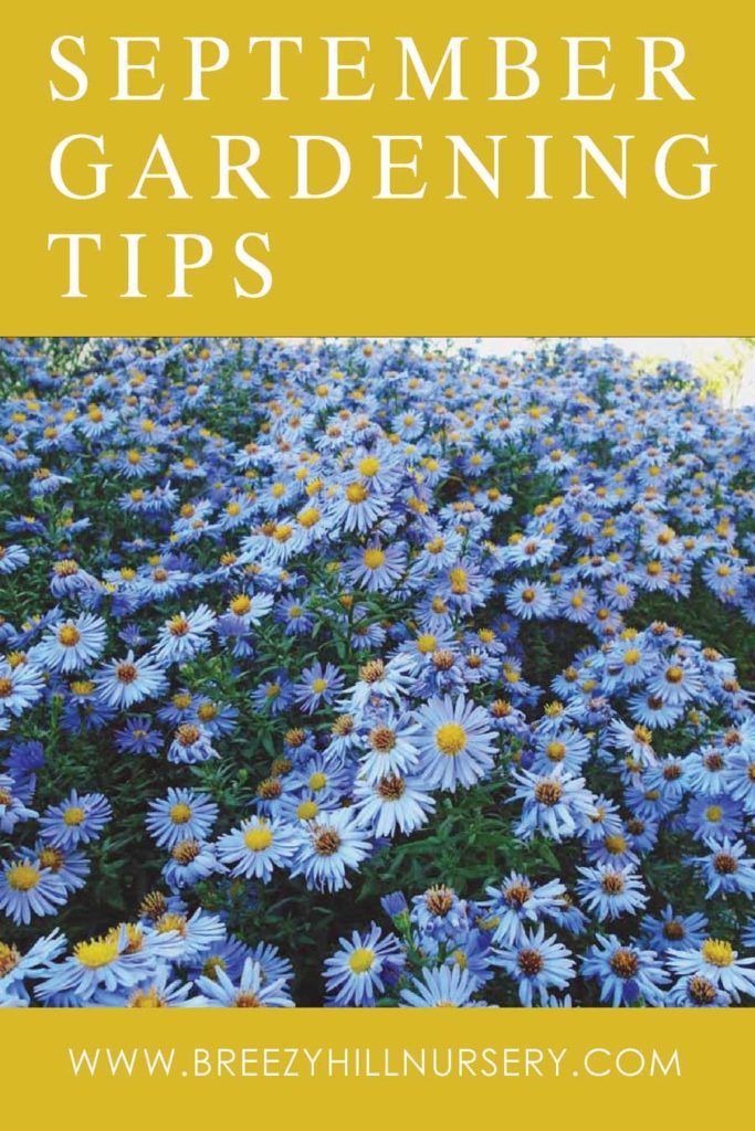 September-GardeningTips-2019---web