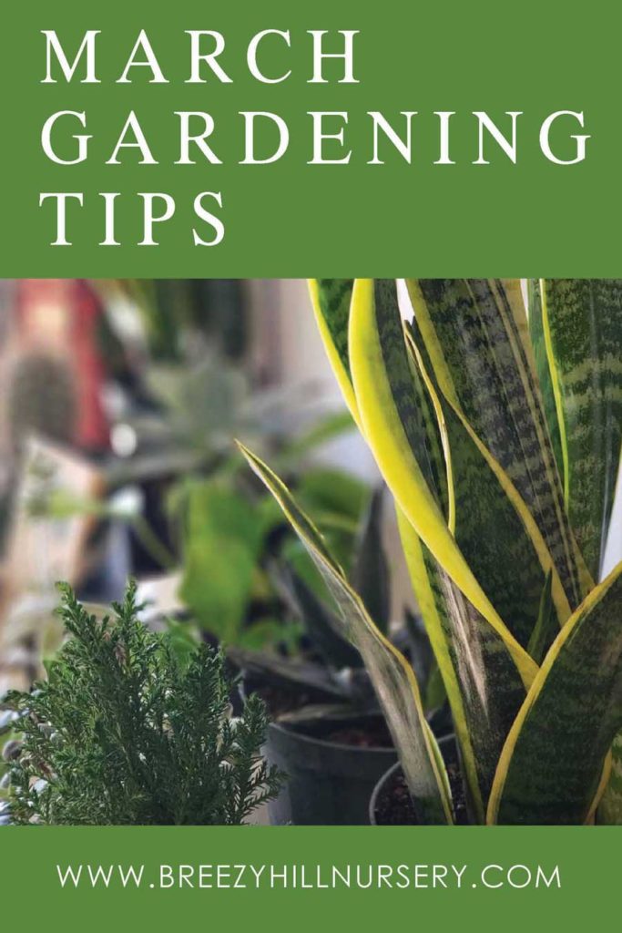 March-Gardening-Tips-2020(web)