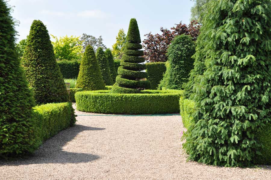 Topiary