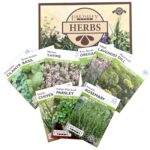 Essential Herbs herbs_blog
